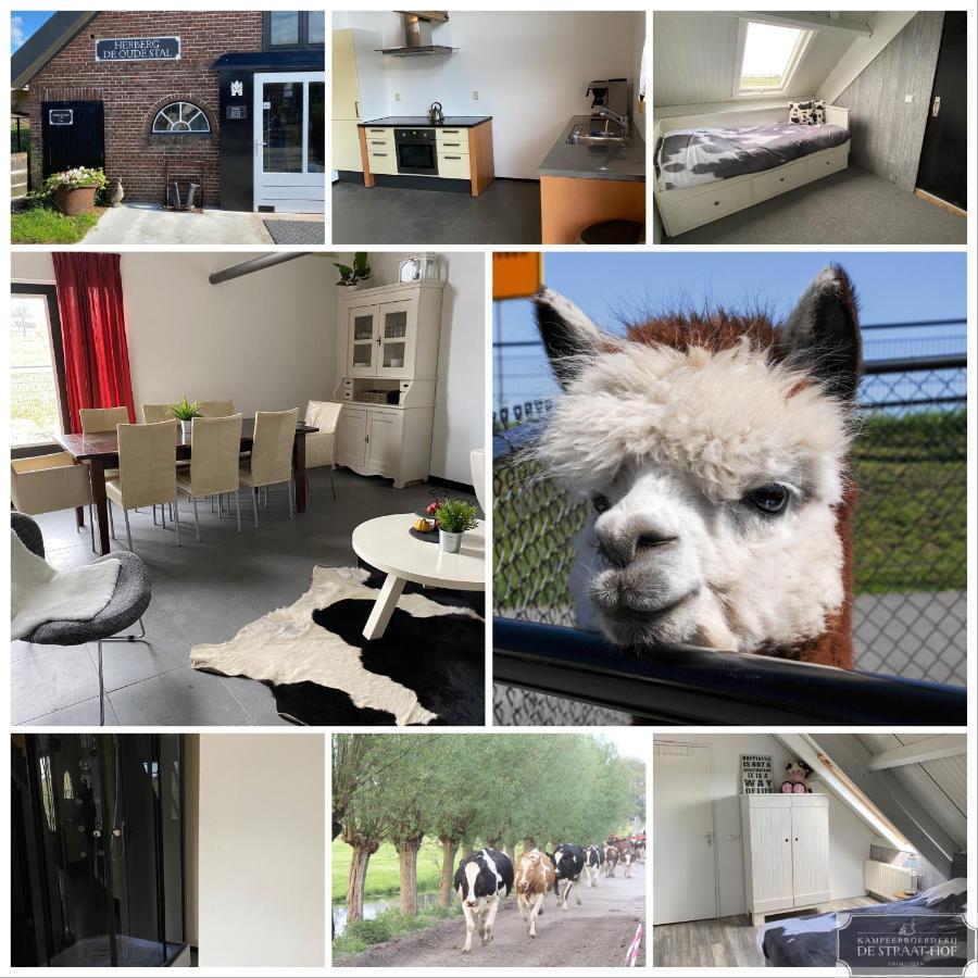 Herberg Boerderij De Straat-Hof Bed & Breakfast Leimuiden Exterior foto