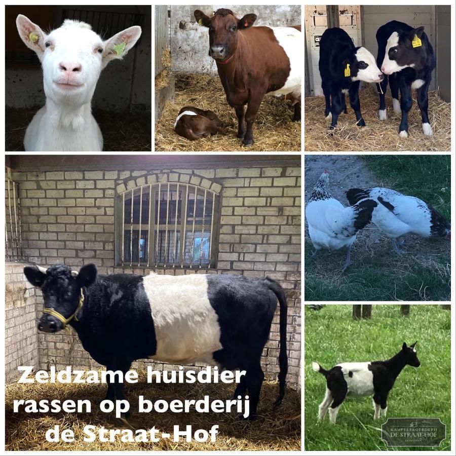 Herberg Boerderij De Straat-Hof Bed & Breakfast Leimuiden Exterior foto